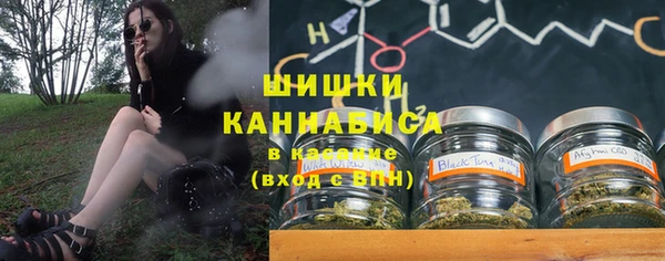 прущие грибы Сосновка
